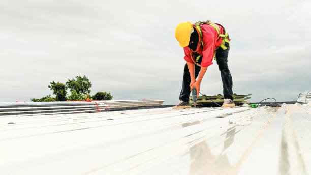 Best Asphalt Shingle Roofing  in East Shoreham, NY
